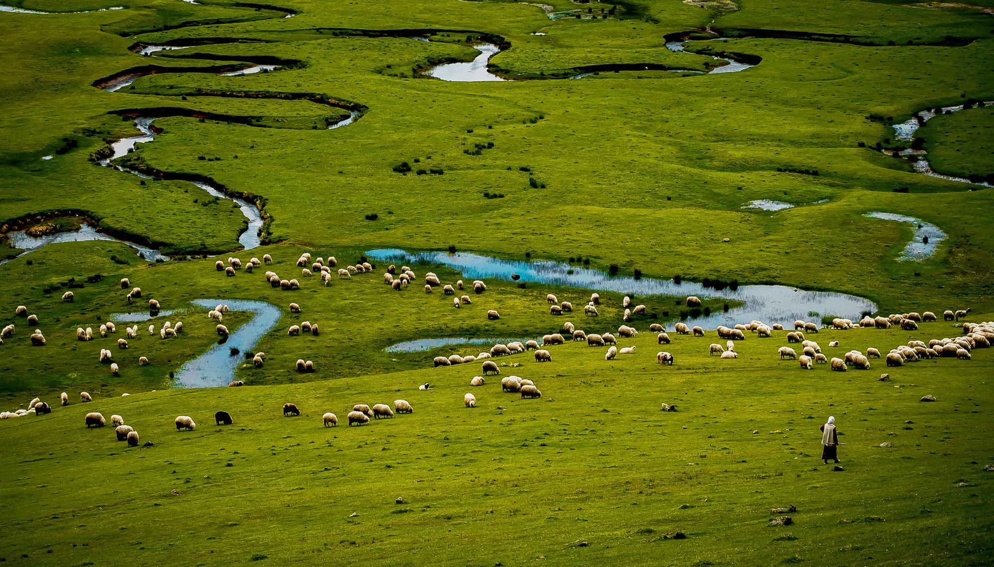 Aybastı Perşembe Yaylası